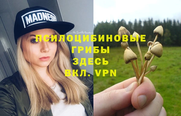 эйфоретик Арсеньев