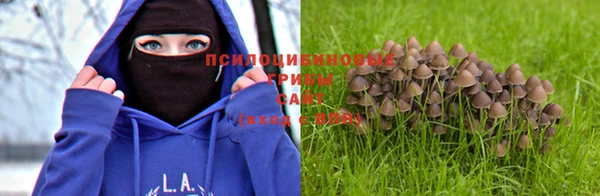 гидропоника Армянск