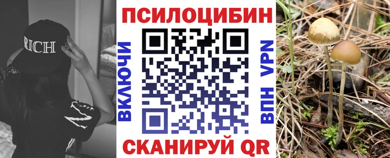 Галлюциногенные грибы GOLDEN TEACHER  Первомайск 